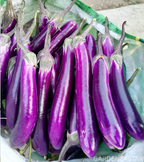🍆Purple Eggplant Seeds