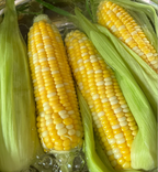 Fruit Corn Seeds for the Home Garden