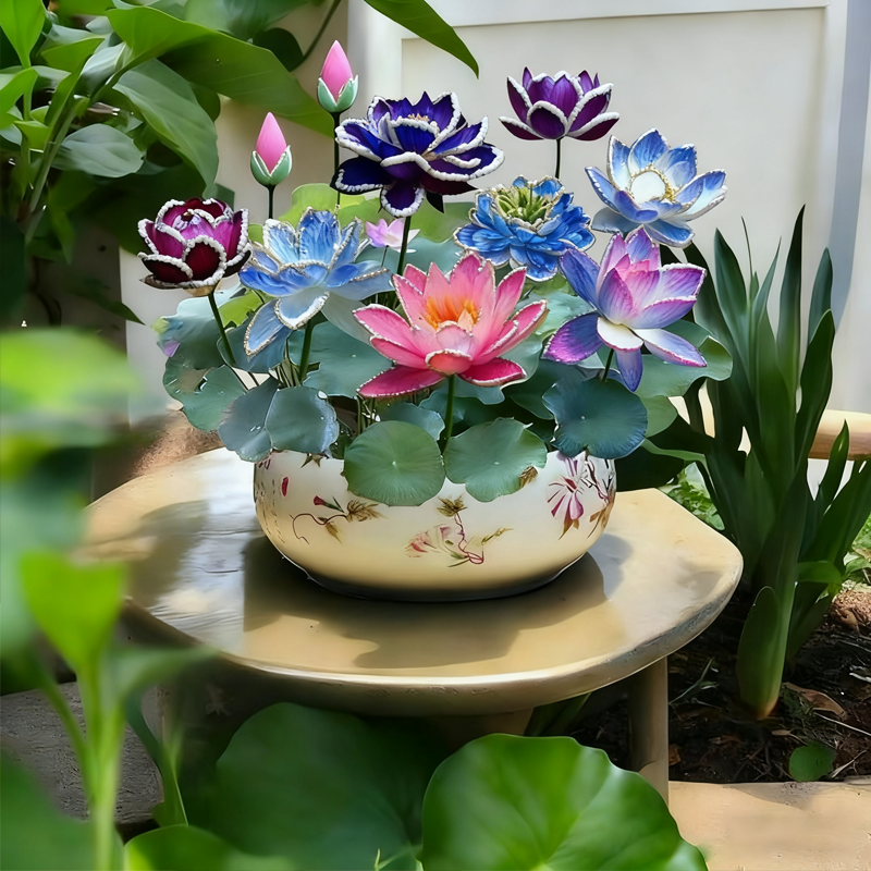 🌄Sunrise Orange Lotus Seeds