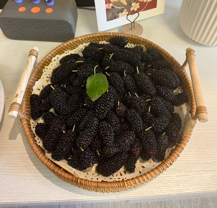 Black Mulberry Seeds