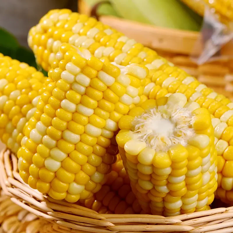 Fruit Corn Seeds for the Home Garden