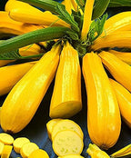Banana Zucchini Seeds