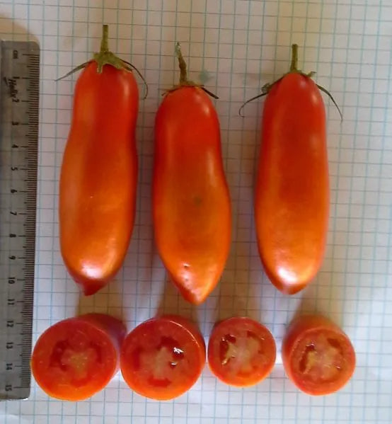 Non Gmo Tomato Red Banana Seeds