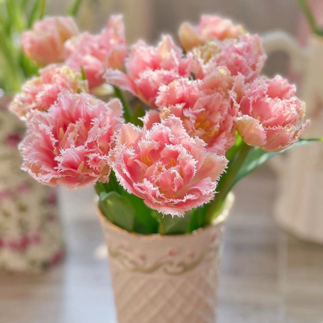 Bonsai Rare Color Tulip Seeds