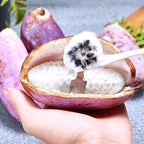 Stauntonia Latifolia Seeds-Organic Food