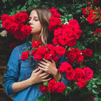 Mixed Climbing Flower Seeds -Over 30 kinds mixed