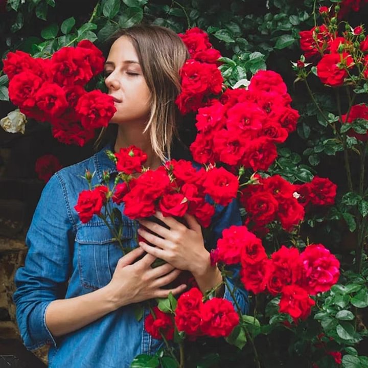 Mixed Climbing Flower Seeds -Over 30 kinds mixed