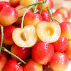 🍒Rainier Cherry Fruit Seeds(🌿99% Germination)