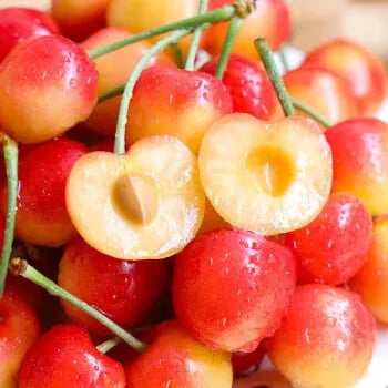 🍒Rainier Cherry Fruit Seeds(🌿99% Germination)