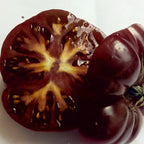 Multicolor Tomato Seeds-No Gmo