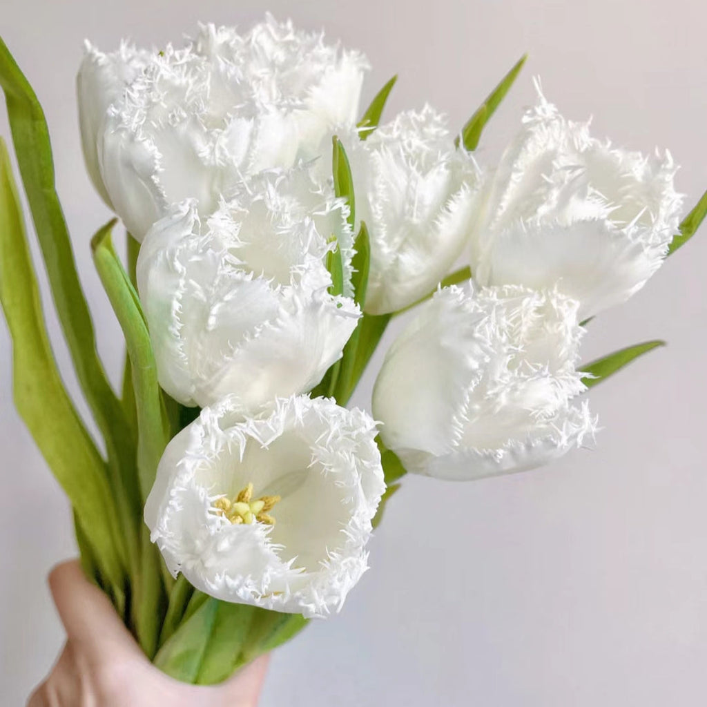 Bonsai Rare Color Tulip Seeds