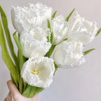 Bonsai Rare Color Tulip Seeds