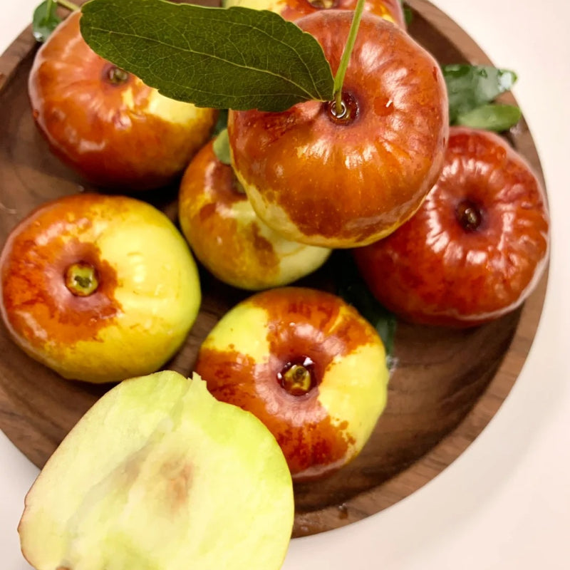 Flat Chinese Dates Seeds