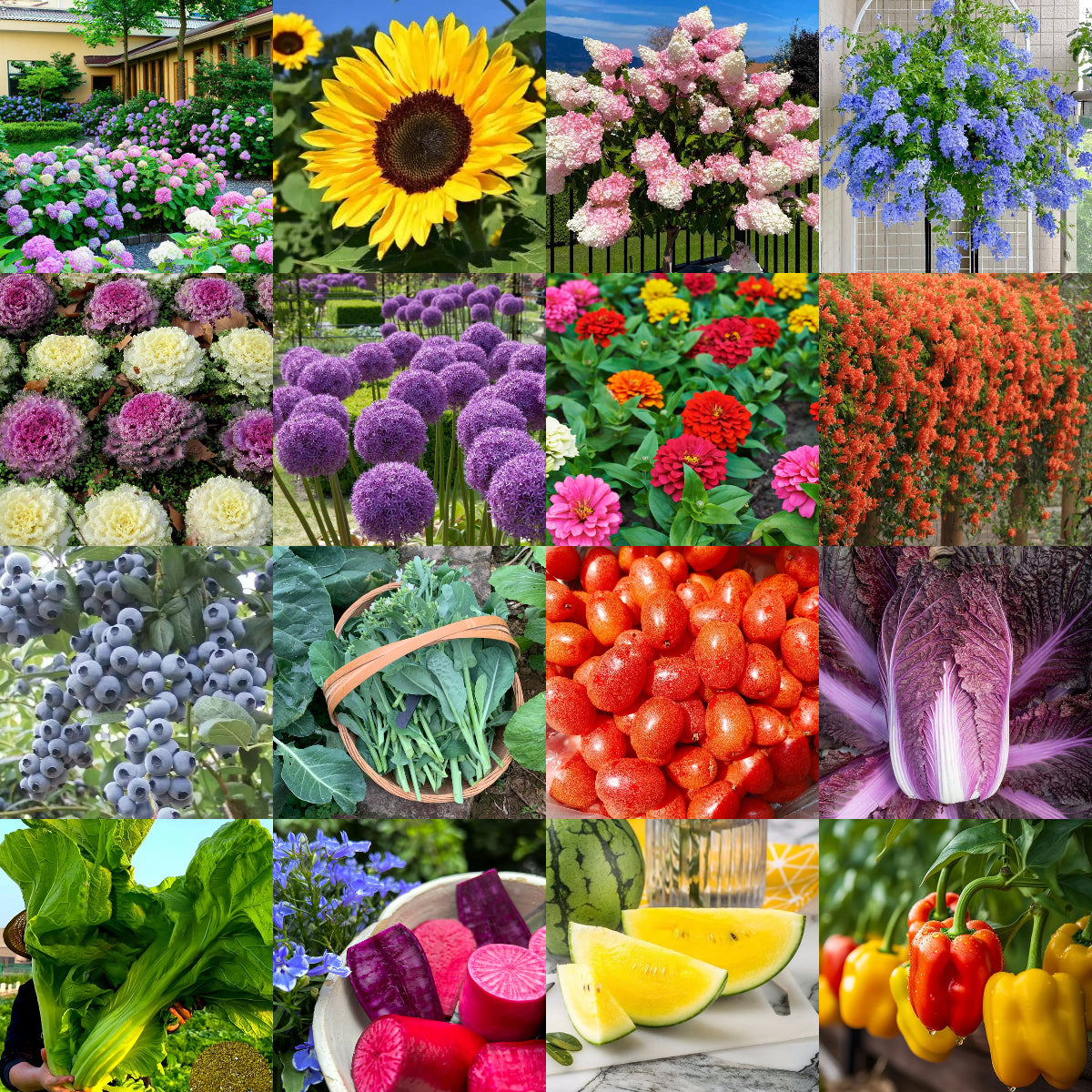 🌱 Monthly surprise planting box, start your green life! 🌿