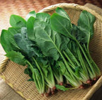 Spinach In The Snow Seeds