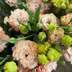 Eustoma Russellianum Seeds