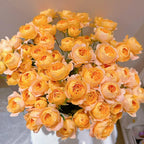 Potted Four Seasons Rose Juice Balcony