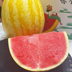 Golden Red Watermelon Seeds