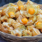 Physalis Peruviana Golden Berry Seeds Lantern Fruit Seeds