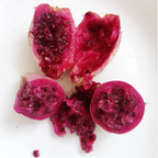 Edible Nopales Prickly Pear Cactus Seeds