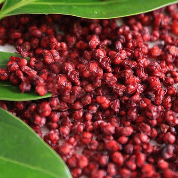 Egrow 50Pcs(100Pcs)/Pack Schisandra Seeds Chinese Magnolia Vine Edible Garden Fruit Tree Seed DIY Plants