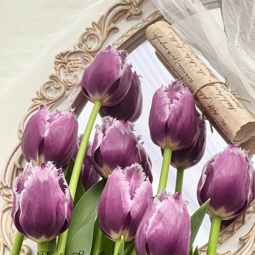 Bonsai Rare Color Tulip Seeds