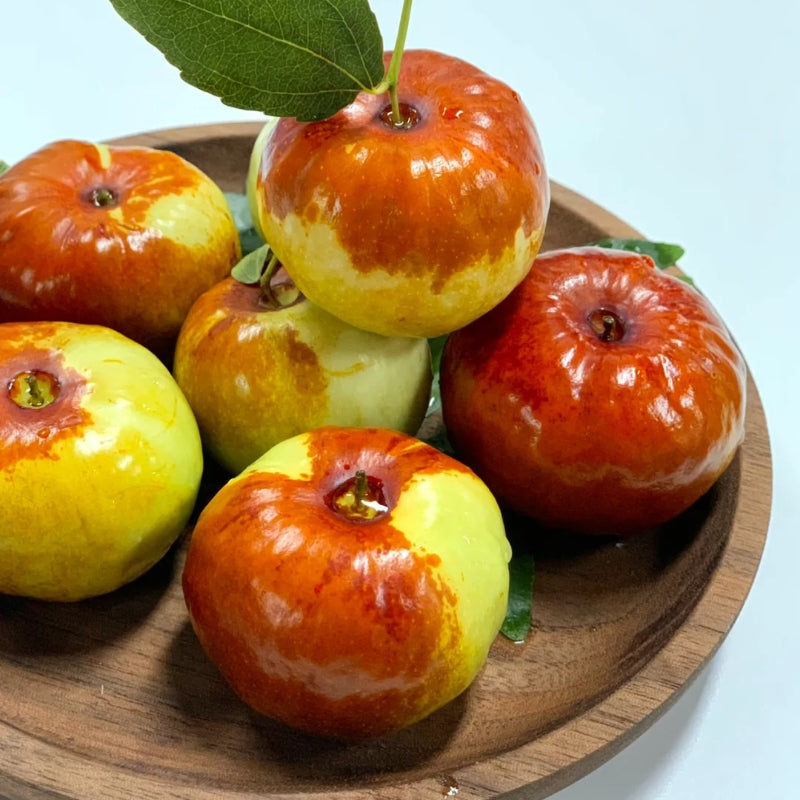 Flat Chinese Dates Seeds