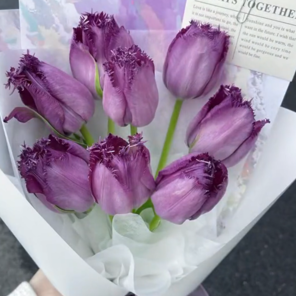 Bonsai Rare Color Tulip Seeds