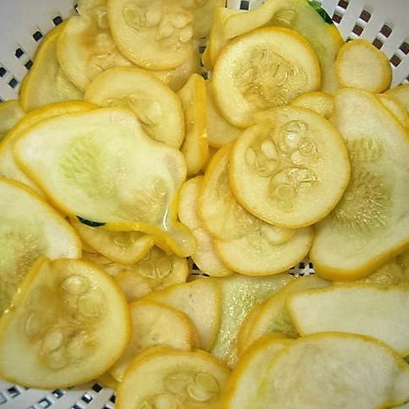 30pcs Early PROLIFIC STRAIGHTNECK SQUASH Yellow Summer Bush Heirloom Seeds